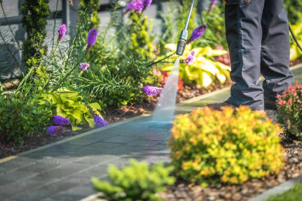 Best Soft Washing for Delicate Surfaces in Lebanon, OH
