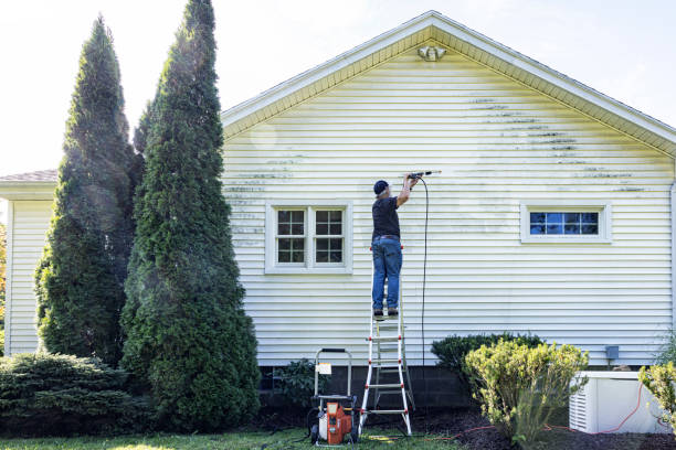 Best Driveway Cleaning and Restoration in Lebanon, OH